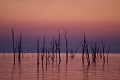 Lac Kariba