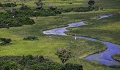 Paysage enchanteur de l'Okavango