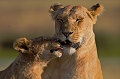 Moment de tendresse