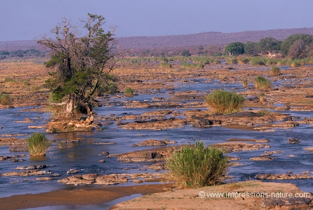 rivière olifants