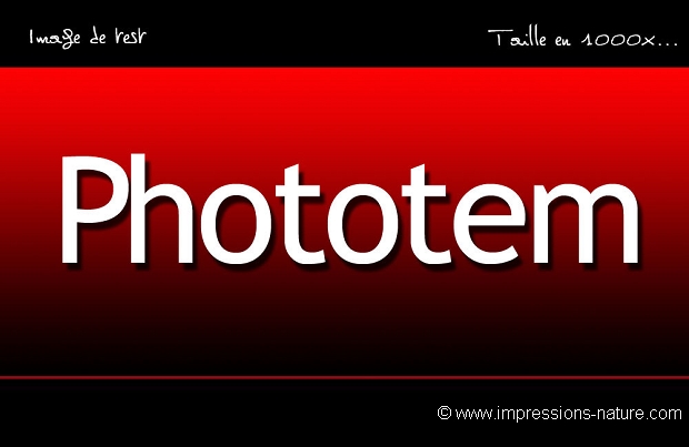Image Test Phototem