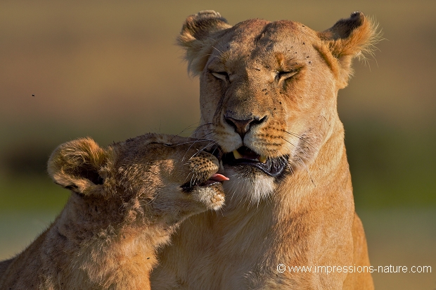 Moment de tendresse