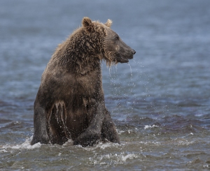 Repérage avant le course
