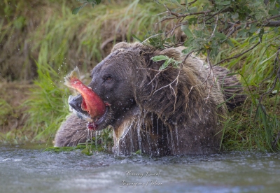 Belle pêche