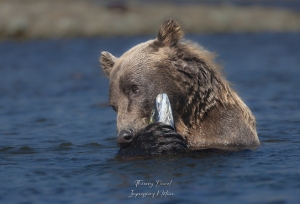 Ne pas le laisser s'échapper