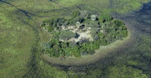 ilot dans le delta de l'Okavango