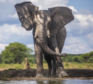 l'art de se ventiler