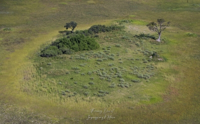 Vue sur l'Okavango