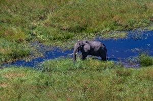 Un petit coin de paradis