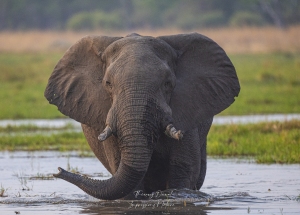 Bain au soleil couchant