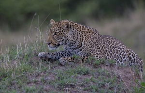 Tous les sens en éveil