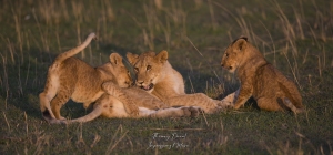 Jeu en famille