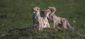 Instant de tendresse