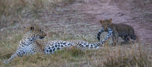 Une mère imperturbable