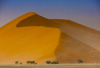 Namib-Naukluft Park  et ses dunes