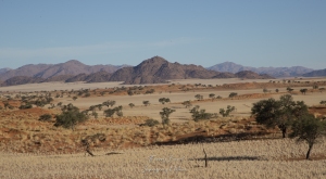 Namib rand réserve