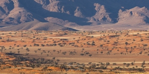 Namib rand réserve