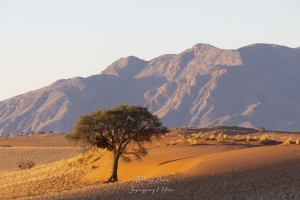 Namib rand réserve