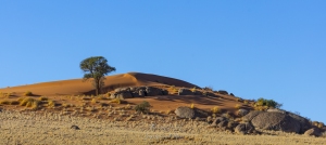Namib rand réserve