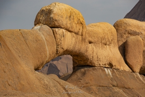 Arche improbable