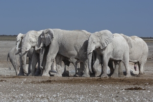 Au contact les uns des autres