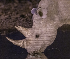 Au point d'eau