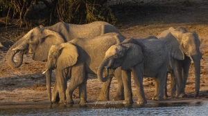 Une famille au point d'eau