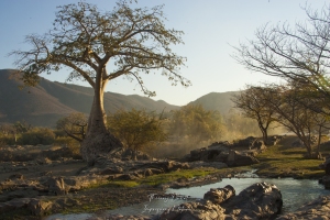 Paysage aux abords des chutes d'Epupa