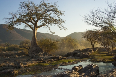Paysage aux abords des chutes d'Epupa