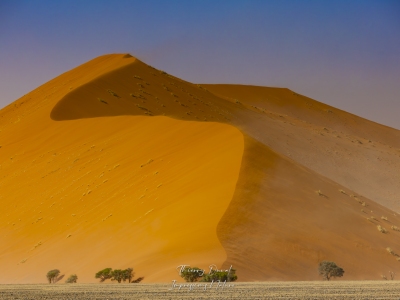 Namib-Naukluft Park  et ses dunes
